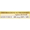 Pure Folic Acid Alcohol Free Liquid - Pregnancy Supplement 30 Ml
