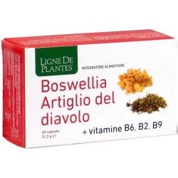 Boswellia Devil's Claw - Bone Health Supplement 60 Capsules