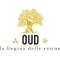 W-Oud - Illuminating Scented Oil 50 Ml