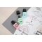 Boss Mini Pastel Love 2.0 - 3 Highlighters Assorted Colors