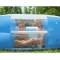 Inflatable Pool With Transparent Window 270 X 198 X 51 Cm