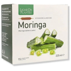 Moringa - Digestive Supplement 15 ampoules