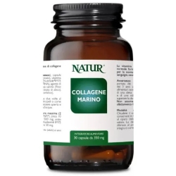 Marine Collagen - Antioxidant Supplement 60 Capsules