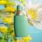 Eden - Eau de Parfum for Woman 50 Ml Spray