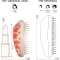 The Original Mini - Detangling Brush - Orangemulti