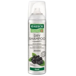 Fresh Dry Shampoo 150 Ml