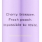 Love Spell - Fragrance Mist 250 Ml
