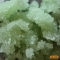 Algascrub - Massage Body Scrub 85 g