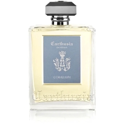 Corallium - room diffuser 230 ml
