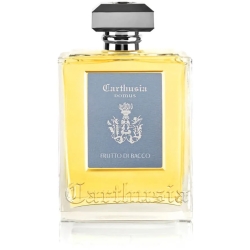 Frutto di Baco - room diffuser 230 ml