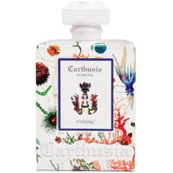 A'Mmare - Room Diffuser 230 Ml