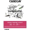 Graduate Manga Marker Layout - Block Of 50 Sheets A4 Of 70 G