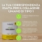Vegan Collagen Lemon - Skin Supplement 138 G