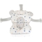 Sea Star Stars - Bath Cushion
