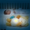 Birba Sleep And Dream With Me - Plush Toy With Night Light 0-6 Years
