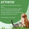 Pi Guard - Shampoo for dogs and cats 300 ml