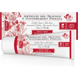 I rimedi - Devil's Claw and Wintergreen Ointment 75 ml