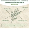 purifying cream with tea tree essential oil 100 ml