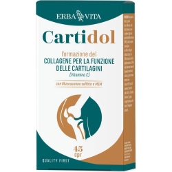 Cartidol 45 tablets - joint supplement