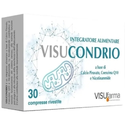 Visucondrio - Nervous System Health Supplement 30 Tablets