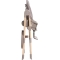 Polly Essential - High chair - Ash