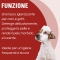 Argenial - Sanitising Shampoo For Veterinary Use 200 Ml