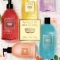 Vinum Berries - Hands Face Delicate Bio-Soap 500 ml