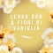 Ambipur 3Volution - Electric diffuser + Gold and Vanilla Flowers refill