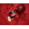 Pomegranate & Maca Peptides - Firming Day Cream 40 Ml