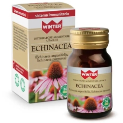 Echinacea - Immune Support Supplement 30 capsules