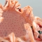 Shower Cap - Cherry