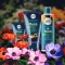 Rock - Hand Cream 75 Ml