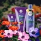 Pop - Shower Gel 400 Ml + Body Cream 200 Ml + Hand Cream 75 ml