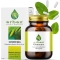 Gimnema - carbohydrate metabolism supplement 100 capsules