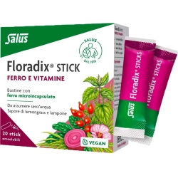 Floradix - Iron & Vitamin Supplement 20 Stick