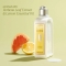 Verbena Citrus - Body Milk 250 ml