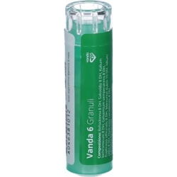 Vanda 6 - Homeopathic medicine 80 Granules