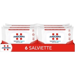 Xgerm - 20 hand disinfectant wipes