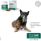 Condrostress Mobility - Complementary food for dogs 90 Chews
