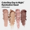 Colorstay 16 Hours - Eye shadow palette n. 505