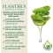 PlanterBalancing Shampoo 200Ml