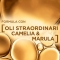 Oil Shampoo For Dry Hair And Extraordinary Off 250 Ml