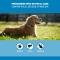 Spot On Small Dog 2-10Kg 4 Pipette 10036