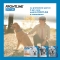 Spot On Small Dog 2-10Kg 4 Pipette 10036