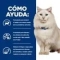 Prescr Diet Feline C/D Urinary Stress Chicken 1.5 Kg