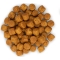 Pet Nutrition Science Plan Adult Advanced Fitness Large Breed Chicken12Kg