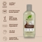 Shampoo Organic Virgin Coconut Oil For Normal Hair And Damaged 265ml