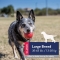 Ball - Game Ball For Dogs size Medium / Large