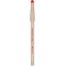 replay ballpoint erasable red pen - pack of 12 pens