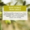 shampoo with olive extract 400 ml